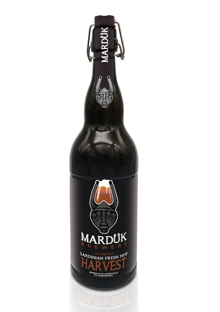 Magnum S. Fresh Hop Harvest Lt.2 (Marduk)