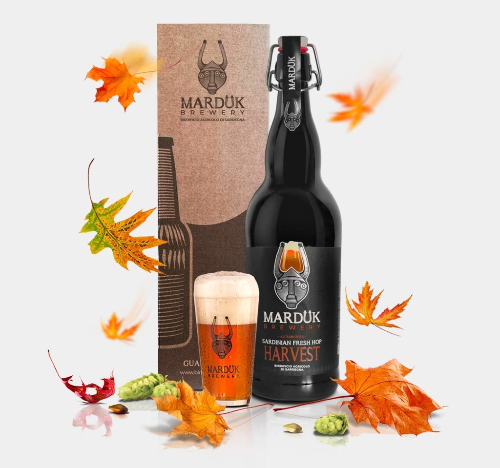 Magnum S. Fresh Hop Harvest Lt.2 (Marduk)